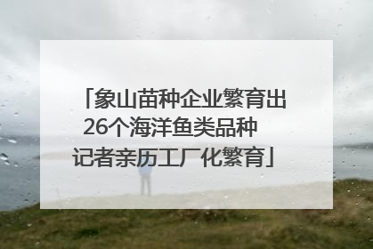 象山苗种企业繁育出26个海洋鱼类品种 记者亲历工厂化繁育