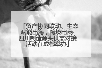 贸产协同联动、生态赋能出海，跨境电商·四川制造源头供需对接活动在成都举办