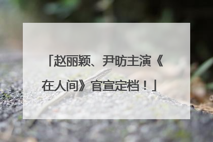 赵丽颖、尹昉主演《在人间》官宣定档！