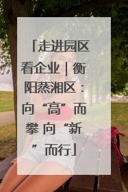 走进园区看企业｜衡阳蒸湘区：向“高”而攀 向“新”而行