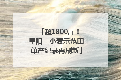 超1800斤！阜阳一小麦示范田单产纪录再刷新