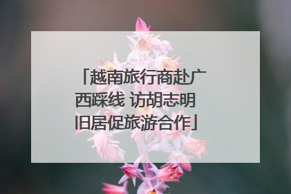 越南旅行商赴广西踩线 访胡志明旧居促旅游合作