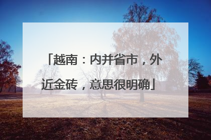 越南：内并省市，外近金砖，意思很明确