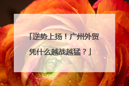 逆势上扬！广州外贸凭什么越战越猛？