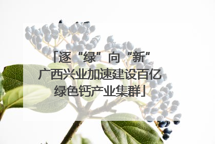 逐“绿”向“新” 广西兴业加速建设百亿绿色钙产业集群