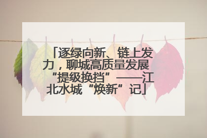 逐绿向新、链上发力，聊城高质量发展“提级换挡”——江北水城“焕新”记
