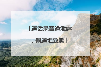 通话录音遭泄露，佩通坦致歉