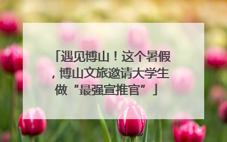 遇见博山！这个暑假，博山文旅邀请大学生做“最强宣推官”