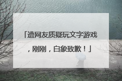 遭网友质疑玩文字游戏，刚刚，白象致歉！