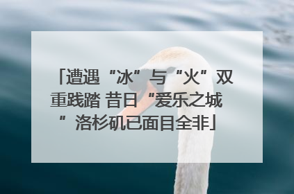遭遇“冰”与“火”双重践踏 昔日“爱乐之城”洛杉矶已面目全非