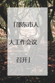 邵东市人大工作会议召开