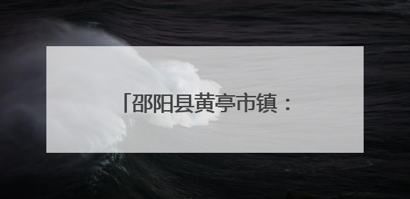 邵阳县黄亭市镇：人大牵头织安网，多力并聚助振兴