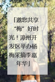 邀您共享“梅”好时光！漳州开发区举办杨梅采摘季嘉年华