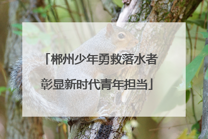 郴州少年勇救落水者 彰显新时代青年担当