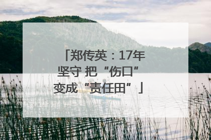 郑传英：17年坚守 把“伤口”变成“责任田”