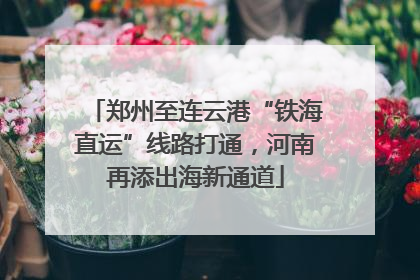 郑州至连云港“铁海直运”线路打通，河南再添出海新通道