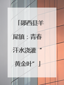 郧西县羊尾镇：青春汗水浇灌“黄金叶”