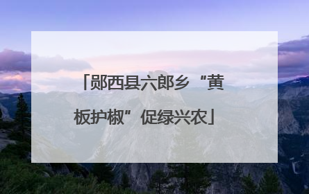 郧西县六郎乡“黄板护椒”促绿兴农