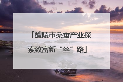 醴陵市桑蚕产业探索致富新“丝”路