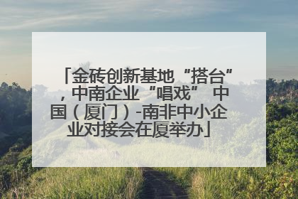 金砖创新基地“搭台”，中南企业“唱戏” 中国（厦门）-南非中小企业对接会在厦举办