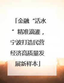 金融“活水”精准滴灌，宁波打造民营经济高质量发展新样本
