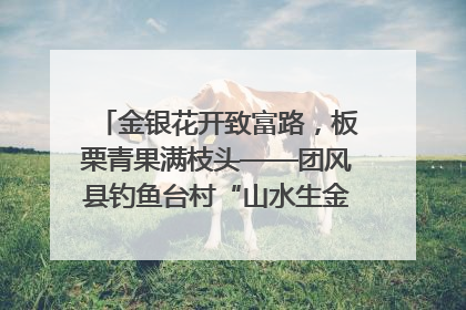金银花开致富路，板栗青果满枝头——团风县钓鱼台村“山水生金”谱写共富新篇章
