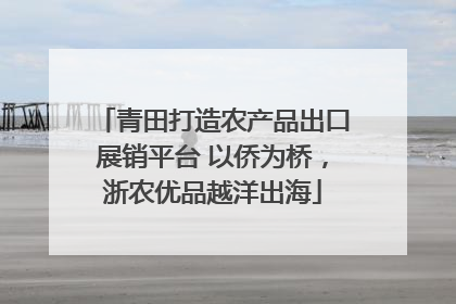 青田打造农产品出口展销平台 以侨为桥，浙农优品越洋出海