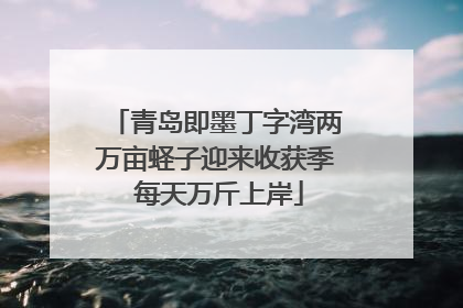 青岛即墨丁字湾两万亩蛏子迎来收获季 每天万斤上岸