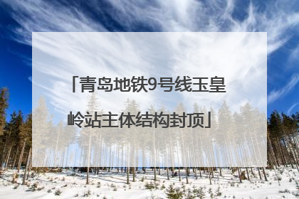 青岛地铁9号线玉皇岭站主体结构封顶