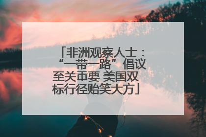 非洲观察人士：“一带一路”倡议至关重要 美国双标行径贻笑大方