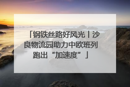 钢铁丝路好风光丨沙良物流园助力中欧班列跑出“加速度”