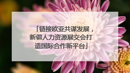 链接欧亚共谋发展，新疆人力资源展交会打造国际合作新平台