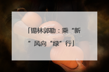 锡林郭勒：乘“新”风向“绿”行