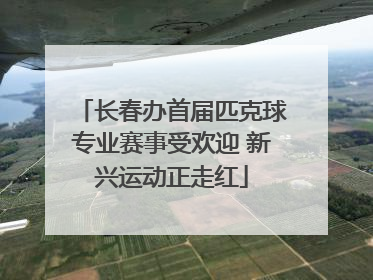 长春办首届匹克球专业赛事受欢迎 新兴运动正走红