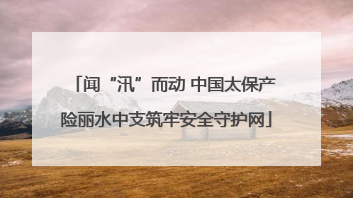 闻“汛”而动 中国太保产险丽水中支筑牢安全守护网