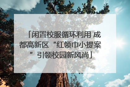 闲置校服循环利用 成都高新区“红领巾小提案”引领校园新风尚