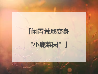 闲置荒地变身“小鹿菜园”