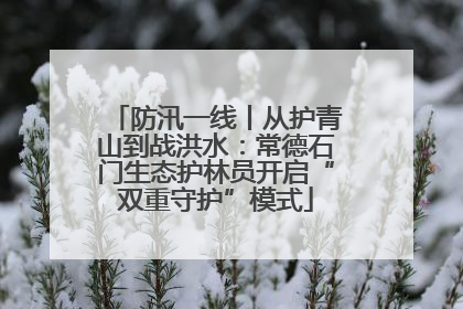 防汛一线丨从护青山到战洪水：常德石门生态护林员开启“双重守护”模式
