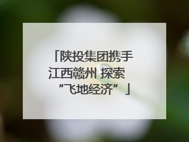 陕投集团携手江西赣州 探索“飞地经济”