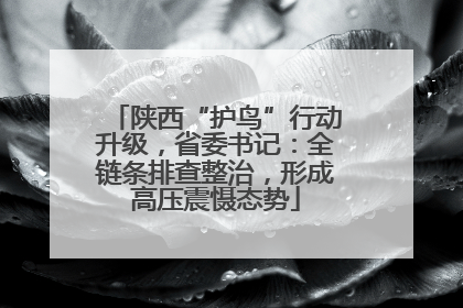 陕西“护鸟”行动升级，省委书记：全链条排查整治，形成高压震慑态势