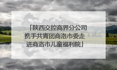 陕西交控商界分公司携手共青团商洛市委走进商洛市儿童福利院