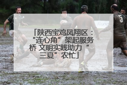 陕西宝鸡凤翔区：“连心角”架起服务桥 文明实践助力“三夏”农忙