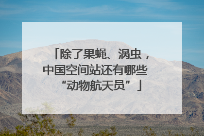 除了果蝇、涡虫，中国空间站还有哪些“动物航天员”