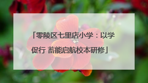 零陵区七里店小学：以学促行 蓄能启航校本研修