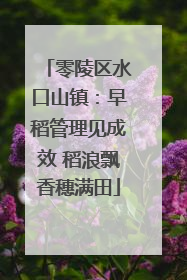 零陵区水口山镇：早稻管理见成效 稻浪飘香穗满田