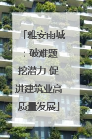 雅安雨城：破难题 挖潜力 促进建筑业高质量发展