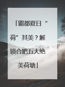 霸都夏日“荷”其美？解锁合肥五大绝美荷塘