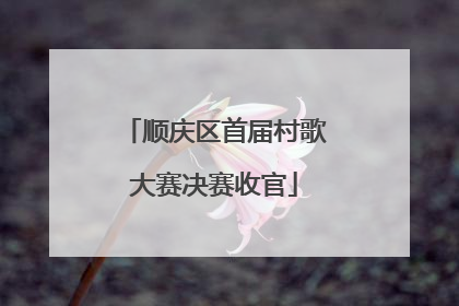 顺庆区首届村歌大赛决赛收官