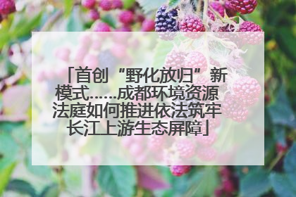 首创“野化放归”新模式……成都环境资源法庭如何推进依法筑牢长江上游生态屏障