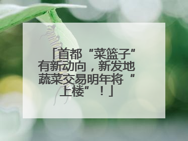首都“菜篮子”有新动向，新发地蔬菜交易明年将“上楼”！